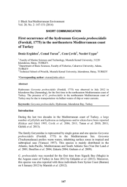 L.R.Baggs Diamond 《エルアールバッグス》 TQ Dual Source Element