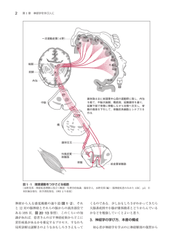 こちら（PDF，1.75MB）
