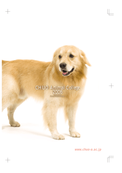 CHUO Animal College 2006