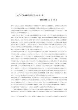 『ソマリアの首都モガディシュでの一泊』 官房総務課長 金 杉 憲 治