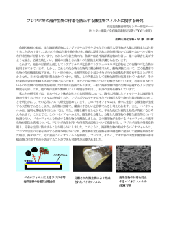 フジツボ等の海洋生物の付着を防止する微生物フィルムに関する研究