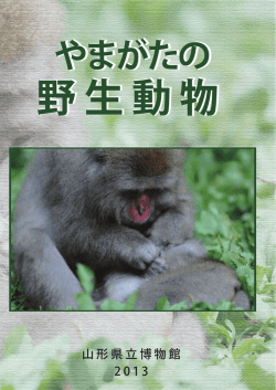 やまがたの野生動物