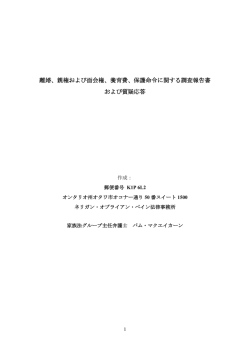 離婚、親権および面会権、養育費、保護命令に関する調査報告書 および