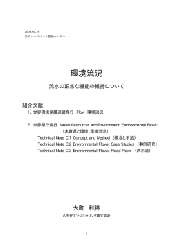環境流況