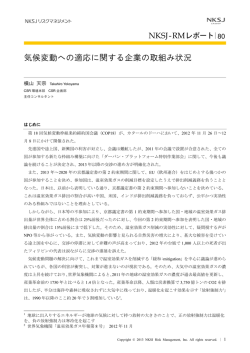 気候変動への適応に関する企業の取組み状況（PDF形式、43kバイト）
