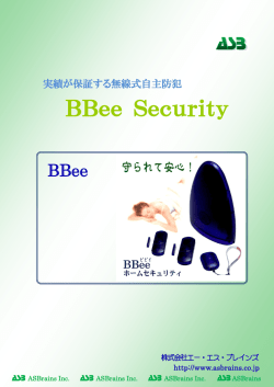 BBee Security