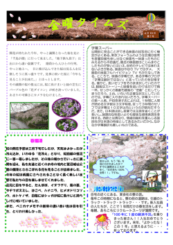 第7号