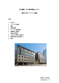 山王病院 がん局所療法センター 膵がんのナノナイフ治療