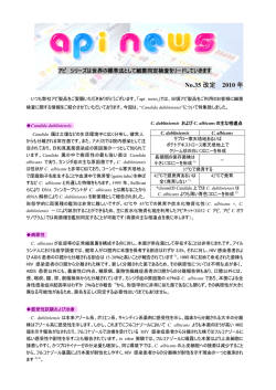 アピニュース No.35