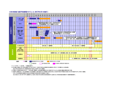 日本の定期/任意予防接種スケジュール（2007年4月1日施行）