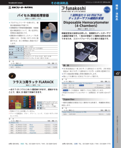 Disposable Hemocytometer （4