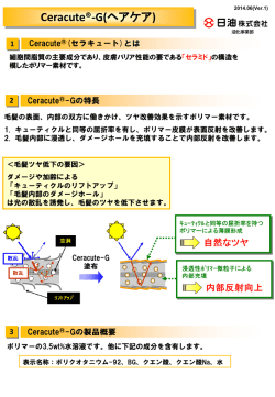 Ceracute &reg; -G技術資料