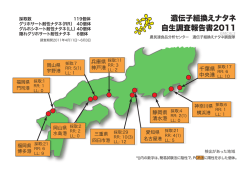 遺伝子組換えナタネ 自生調査報告書2011