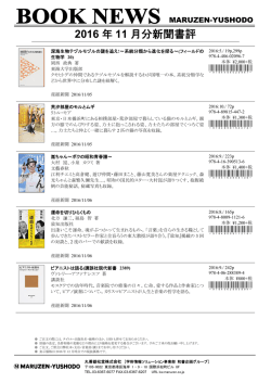 2016 年 11 月