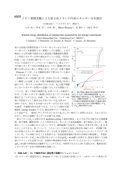 イオン蓄積実験による孤立負イオンの内部エネルギー分布測定