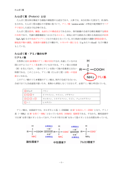 たんぱく質（Protein）とは たんぱく質・アミノ酸の化学