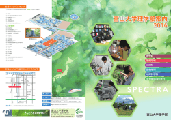 PDF一括表示
