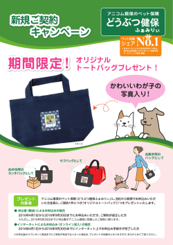 期間限定！オリジナル