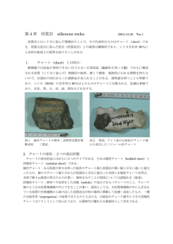 第4章 珪質岩 siliceous rocks