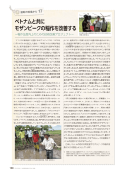 モザンビーク ベトナムと共に稲作を改善する稲作生産向上のための技術