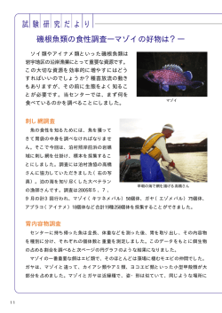 磯根魚類の食性調査 －マゾイの好物は？