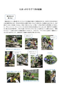 たまっ子クラブ 7 月の記録