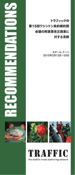 Japanese, PDF, 600 KB