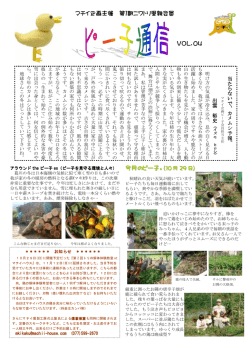 04 - マチイハウス