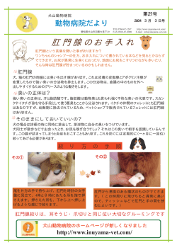 肛門腺のお手入れ