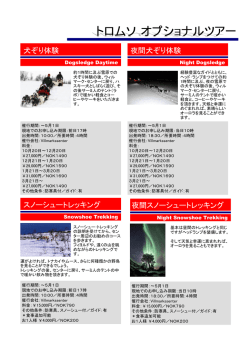 犬ぞり体験 夜間犬ぞり体験 スノーシュートレッキング 夜間スノーシュー