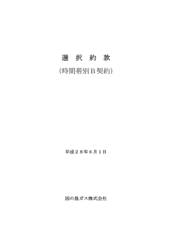 選 択 約 款 （時間帯別B契約）