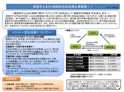 概要チラシ