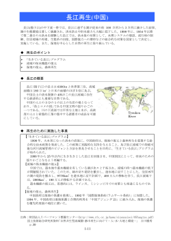 長江再生(中国)