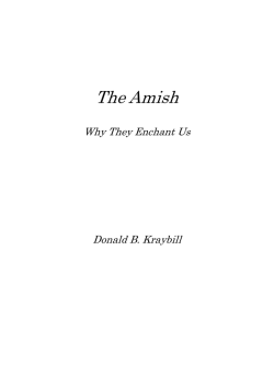 The Amish - 津山工業高等専門学校