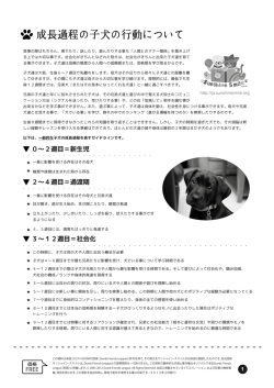 成長過程の子犬の行動について