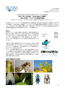 『世界一美しい昆虫展』 ～昆虫が芸術になる瞬間～ 長崎・佐世保