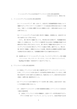 1 ソーシャルメディアによる広告及びアフィリエイト広告に係る留意事項 1
