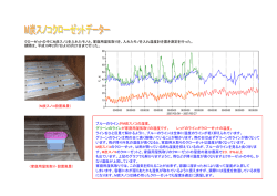 クローゼットの中にM炭スノコを入れたモノと、家庭用湿気取りを、入れた