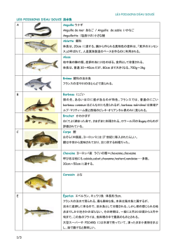 1/3 LES POISSONS D`EAU DOUCE 淡水魚 A Anguille ウナギ