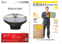 挑戦する 製造業の アジア進出