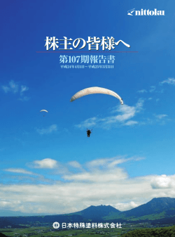 2013年3月期事業報告書
