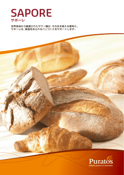 サワー種製品リーフレット