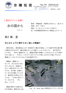 水の国から