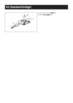 K5 (Standard bridge)