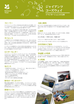 ジャイアンツ コーズウェイ - National Trust