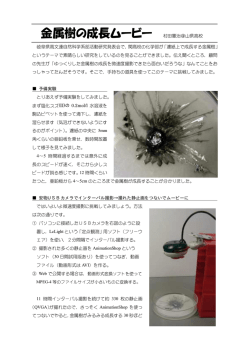 金属樹の成長ムービー 村田憲治＠山県高校