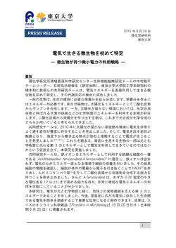 電気で生きる微生物を初めて特定