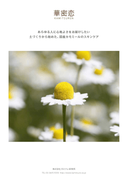 華密恋「株式会社カミツレ研究所」