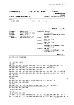 特許第3584333号