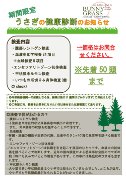 詳しくはこちら - うさぎと鳥・小動物の専門病院 バニーグラス